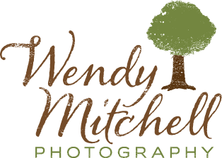 Wendy Mitchell Photgraphy Logo Design